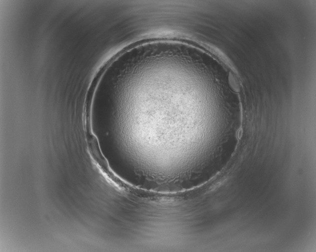 X0000081560839200701221025