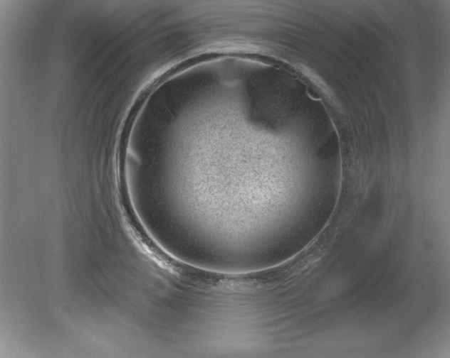 X0000081560840200701221025