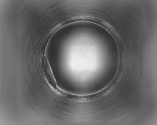 X0000081560841200701221025