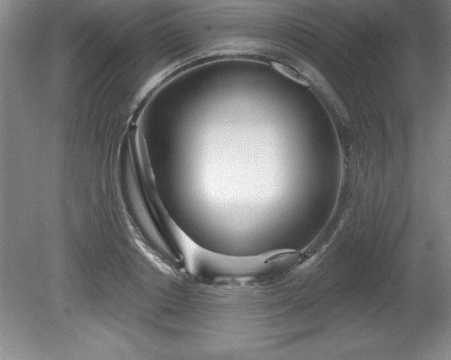 X0000081560842200701221025