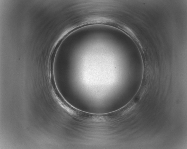 X0000081560843200701221025