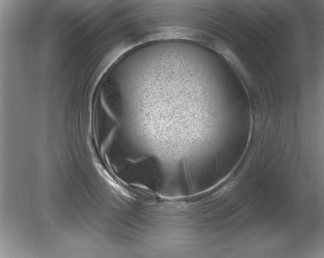 X0000081560844200701221025