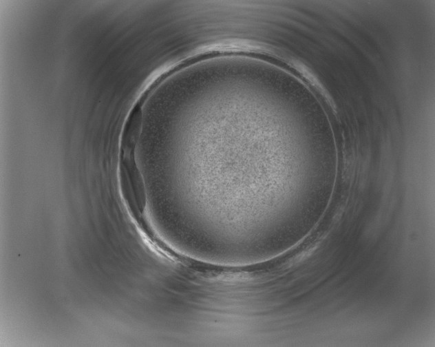 X0000081560845200701221025