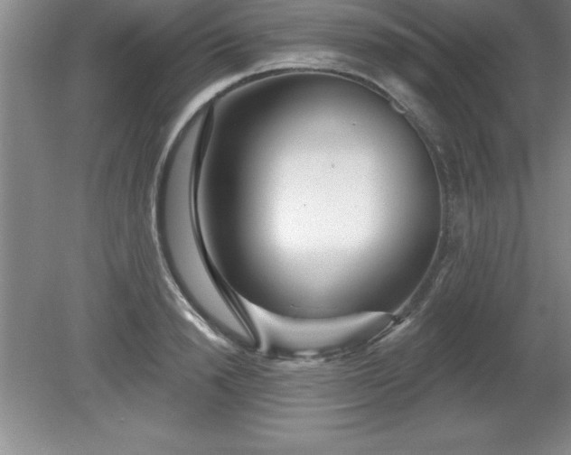 X0000081560846200701221025