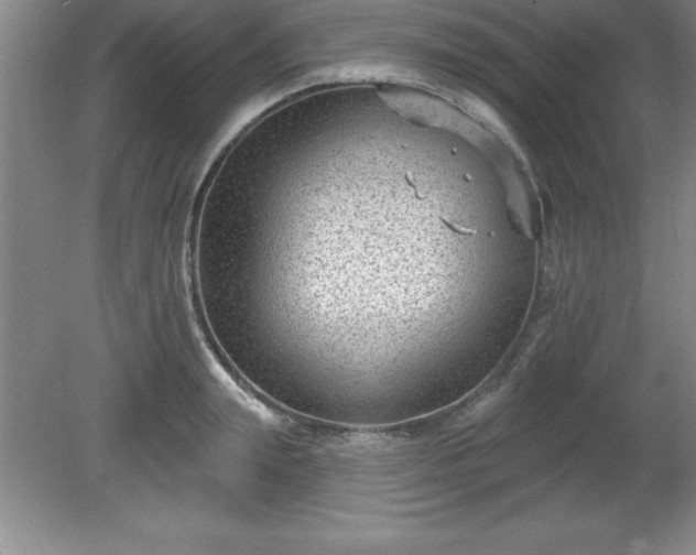 X0000081560847200701221025