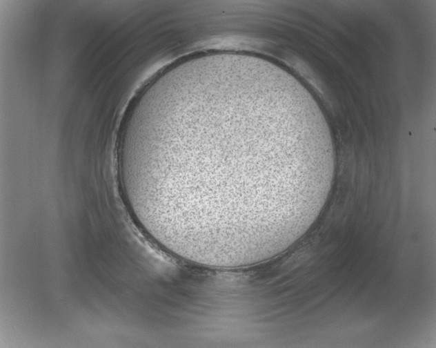 X0000081560848200701221025