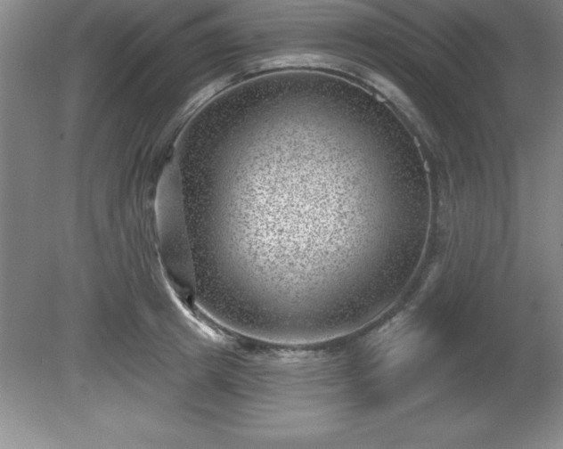 X0000081560849200701221025