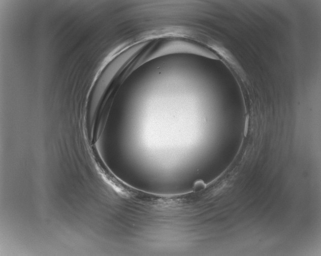 X0000081560850200701221025