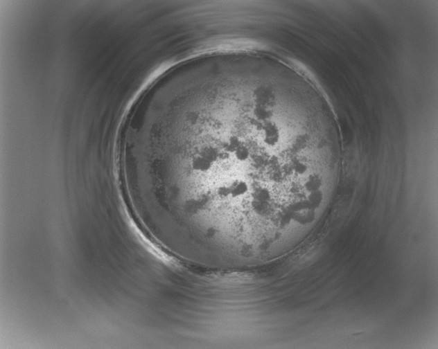 X0000081560851200701221025