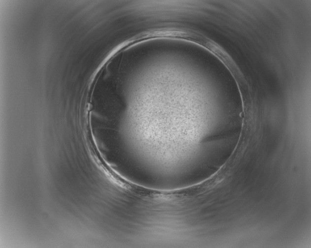 X0000081560852200701221025