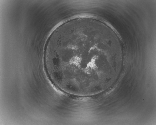 X0000081560853200701221025