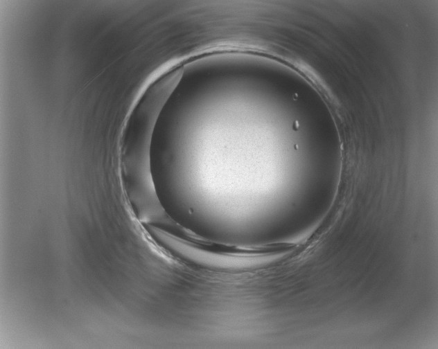 X0000081560854200701221025