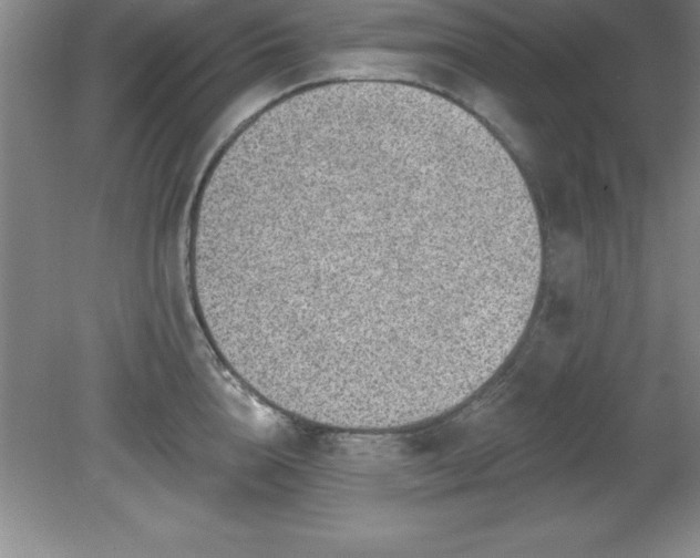 X0000081560856200701221025