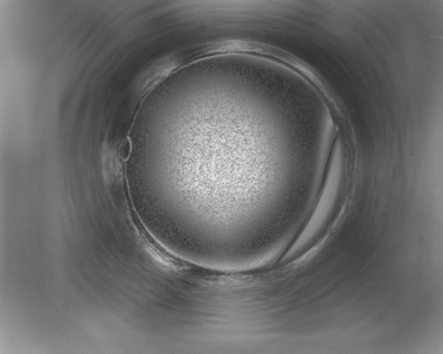 X0000081560857200701221025