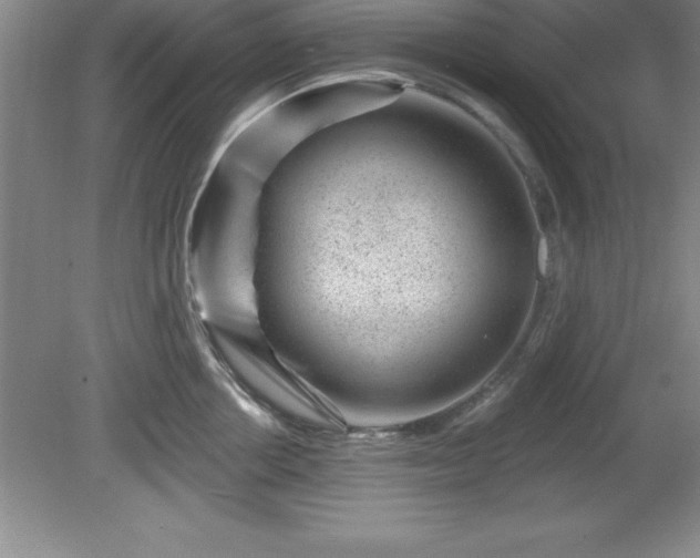 X0000081560858200701221025