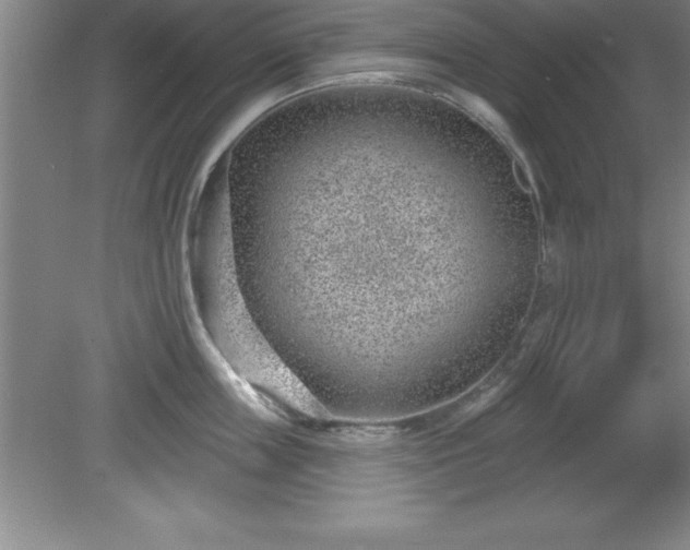 X0000081560859200701221025