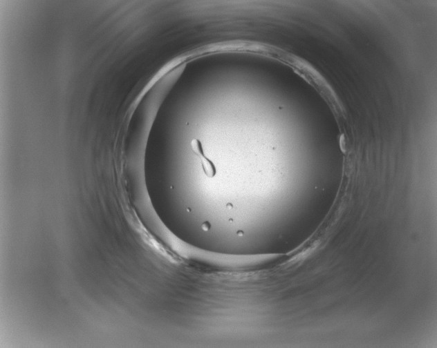 X0000081560860200701221025