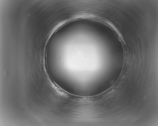 X0000081560861200701221025