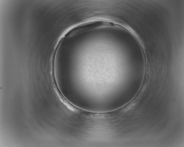 X0000081560862200701221025