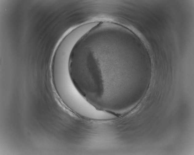 X0000081560864200701221025