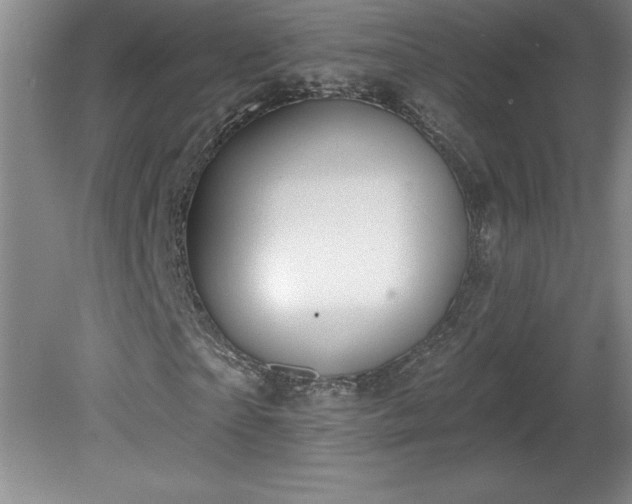 X0000081560865200701221024