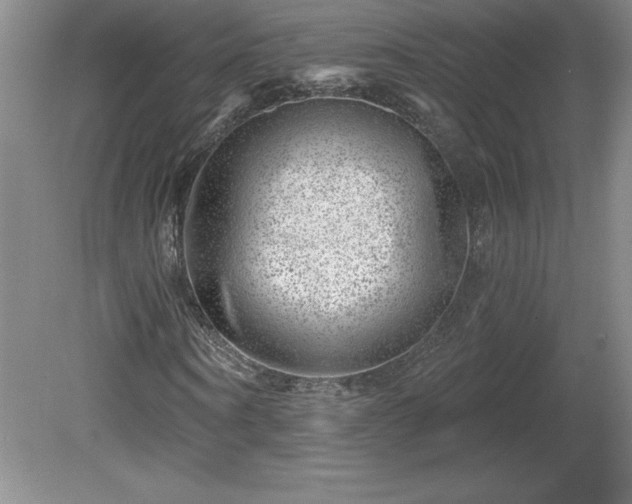 X0000081560866200701221024