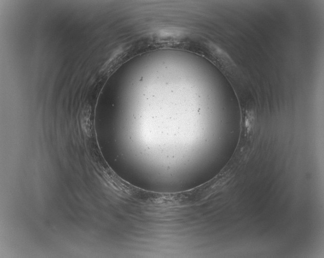 X0000081560867200701221024