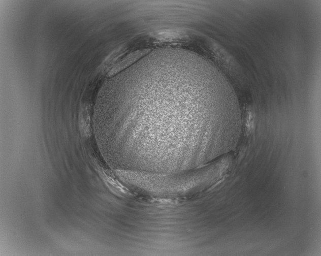 X0000081560868200701221024