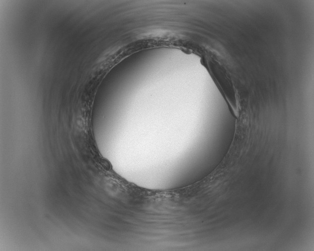 X0000081560869200701221024