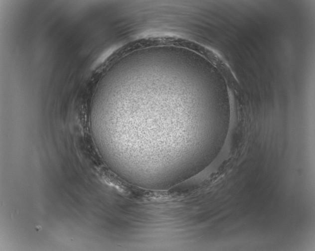 X0000081560871200701221024