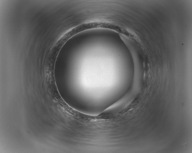 X0000081560872200701221024