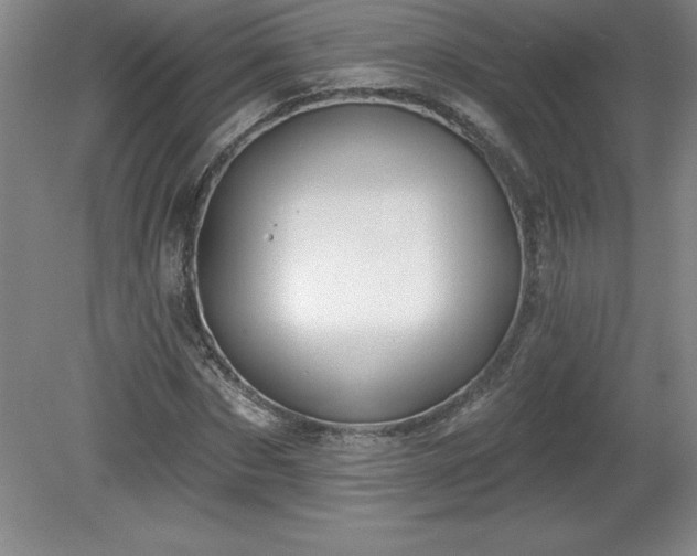 X0000081560873200701221024