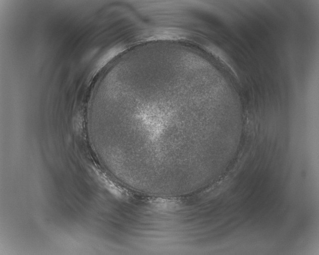 X0000081560874200701221024