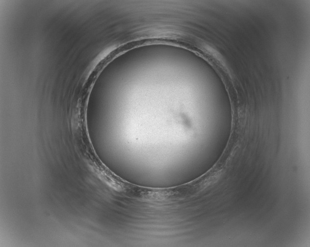 X0000081560875200701221024