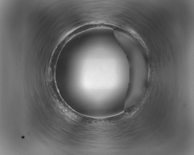 X0000081560876200701221024