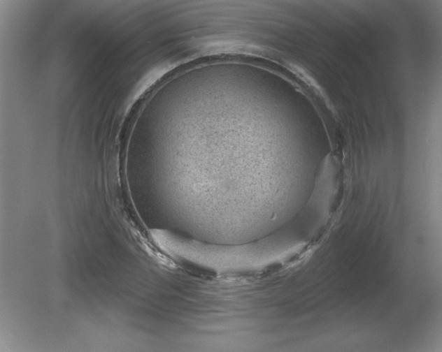 X0000081560877200701221024