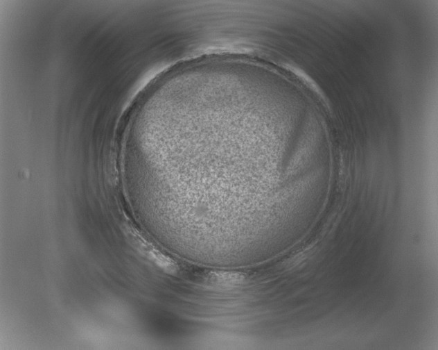 X0000081560878200701221024