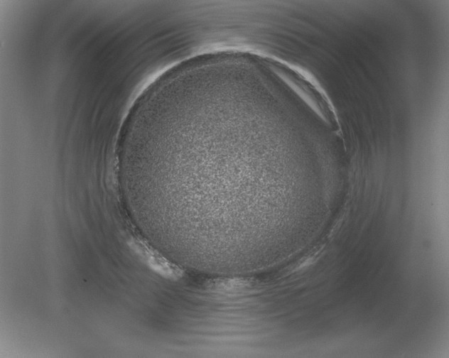 X0000081560879200701221024