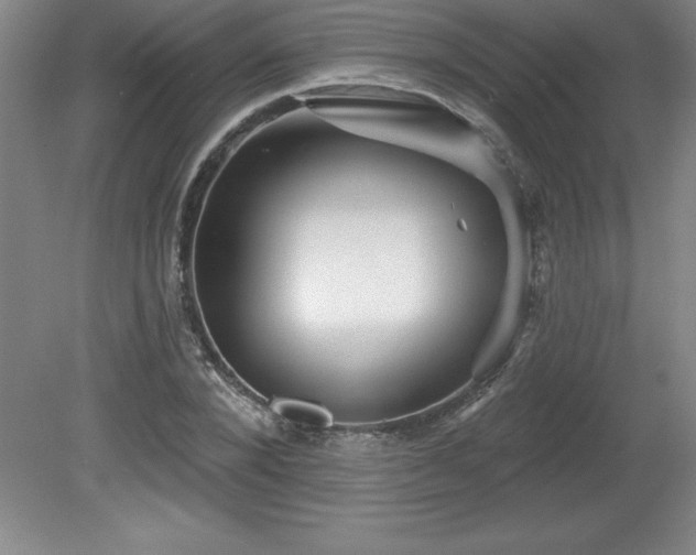 X0000081560880200701221024