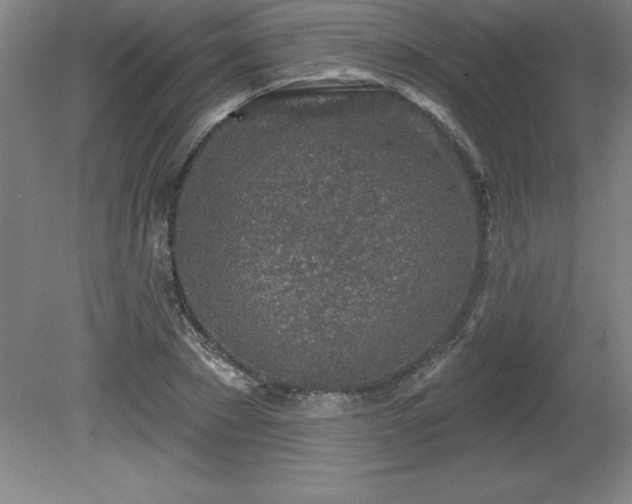 X0000081560881200701221024