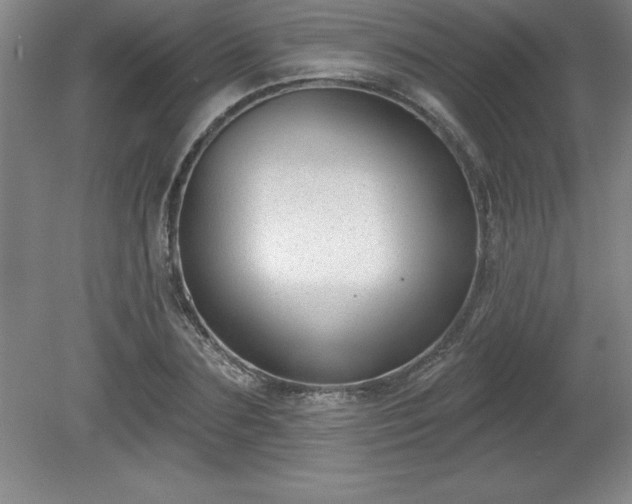 X0000081560883200701221024