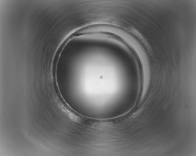 X0000081560884200701221024