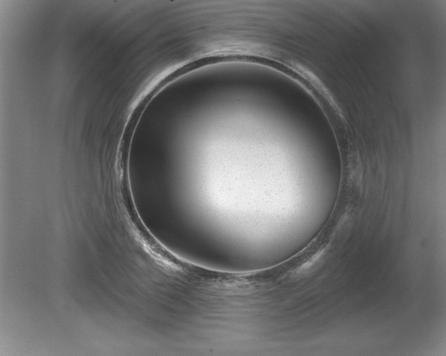 X0000081560885200701221024