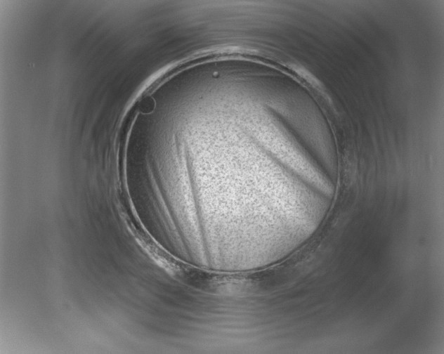 X0000081560886200701221024