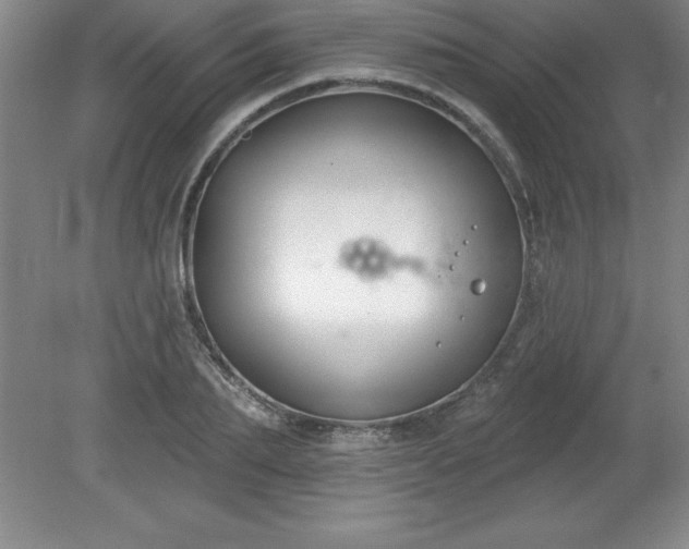 X0000081560887200701221024