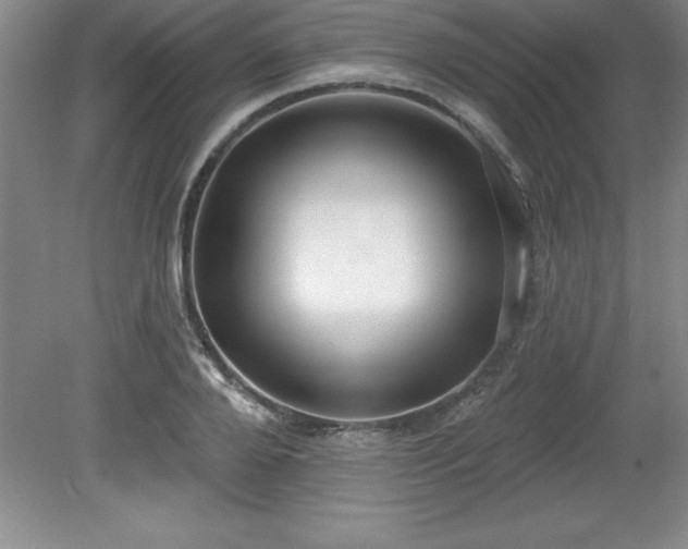 X0000081560888200701221024