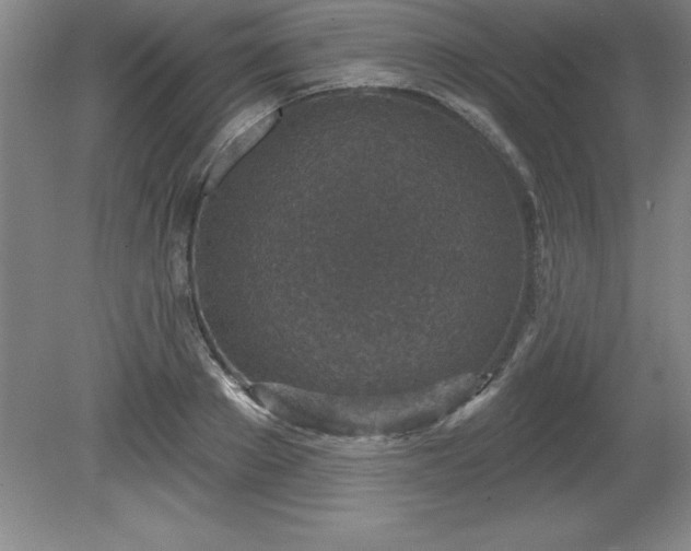 X0000081560889200701221024