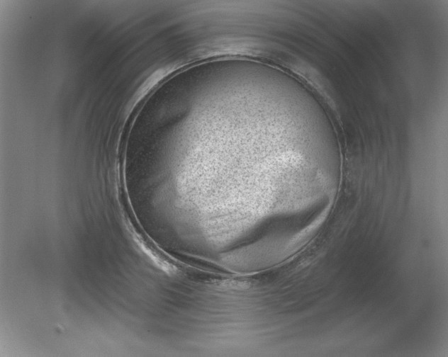 X0000081560890200701221024