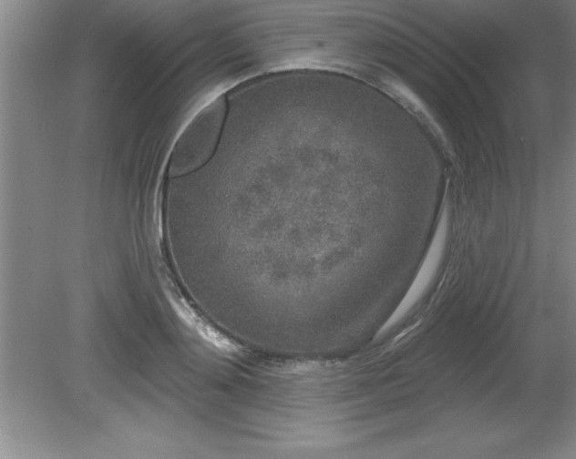 X0000081560892200701221024