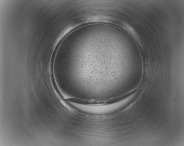 X0000081560893200701221024